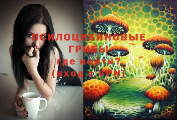 мет Кинешма