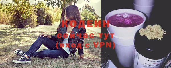 прущие крисы Киренск